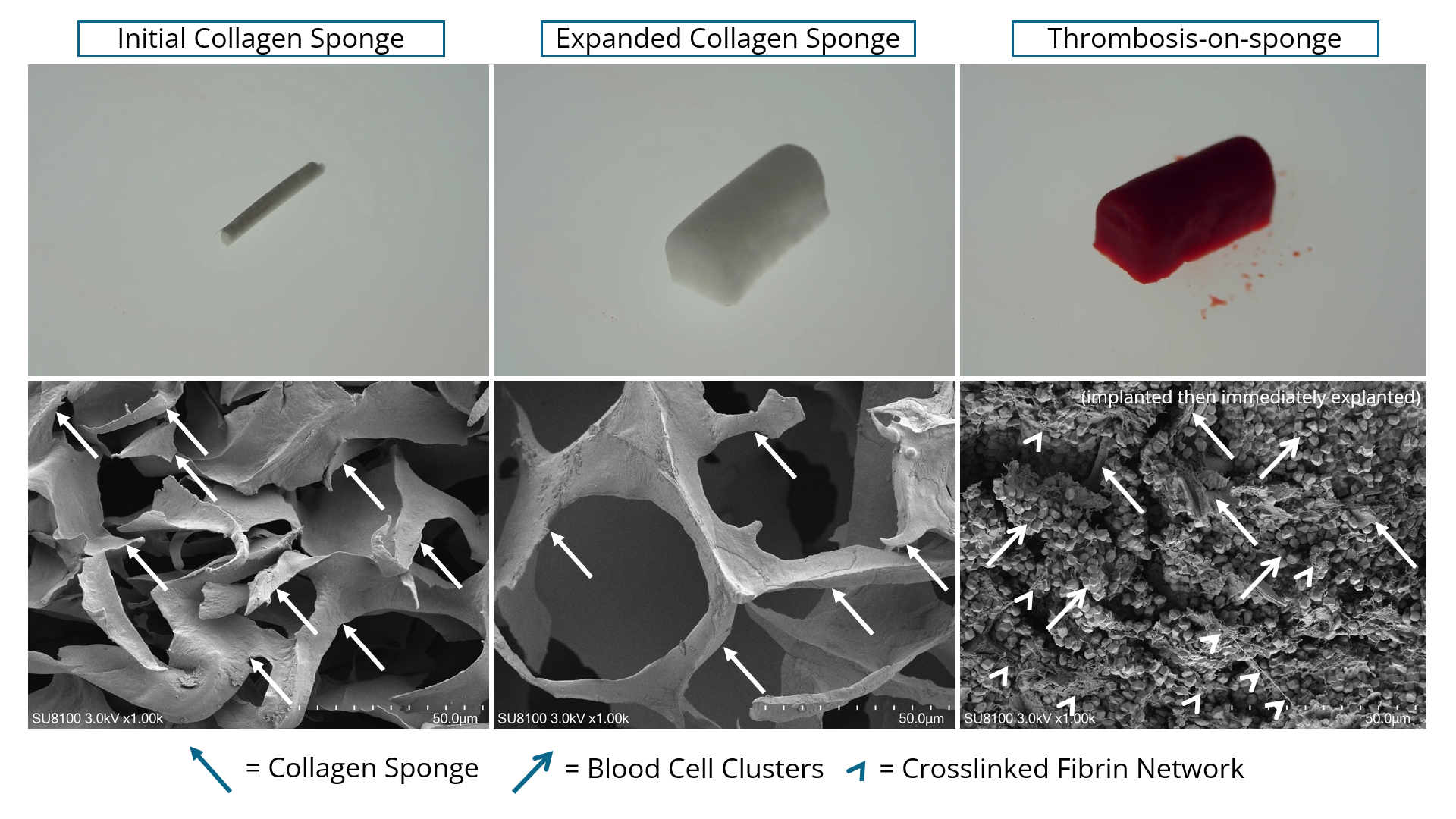 AI Innovation Technology